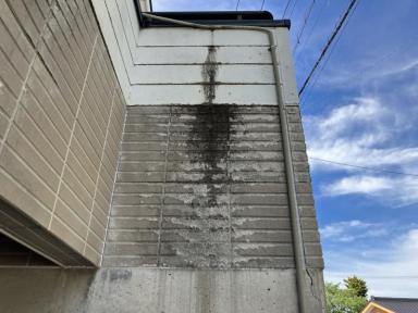 小松市で現地調査を実施