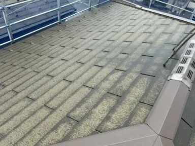 屋根塗装の重要性