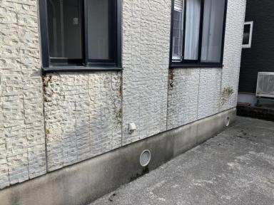 白山市で外壁の現地調査を実施